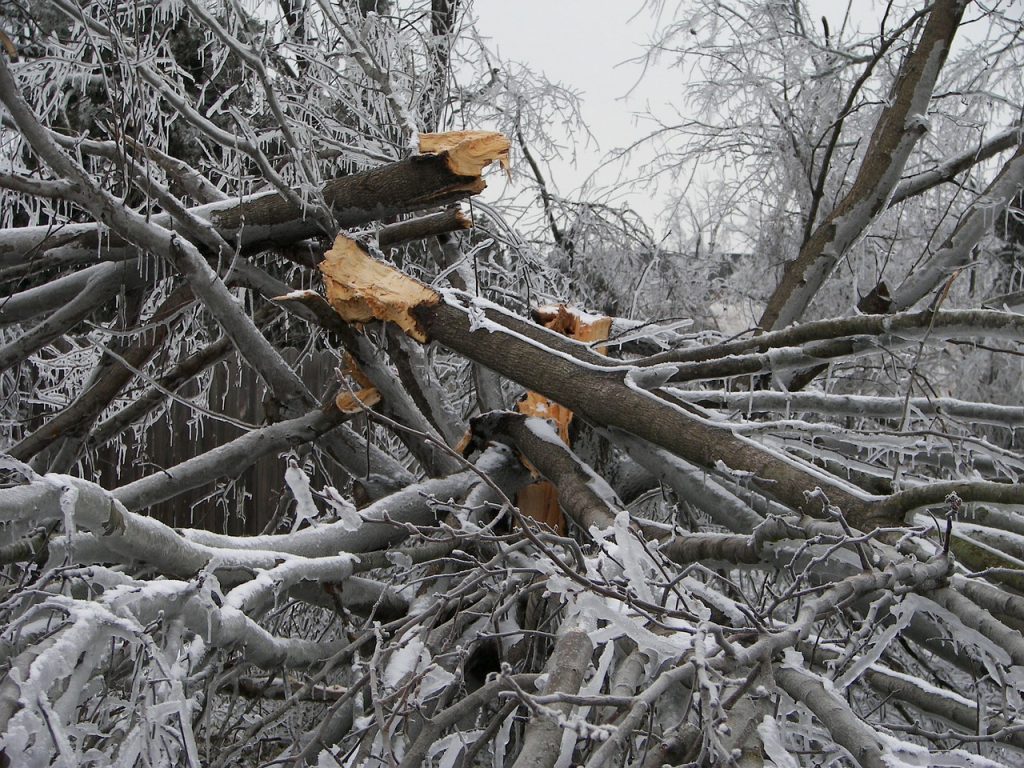 树木破坏冰暴
