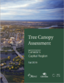 树树冠-评估- 2019 en