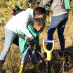 http://Young%20boy%20and%20mom%20亚博游戏登录首页APPyabo真人appplanting%20a%20tree%20together。