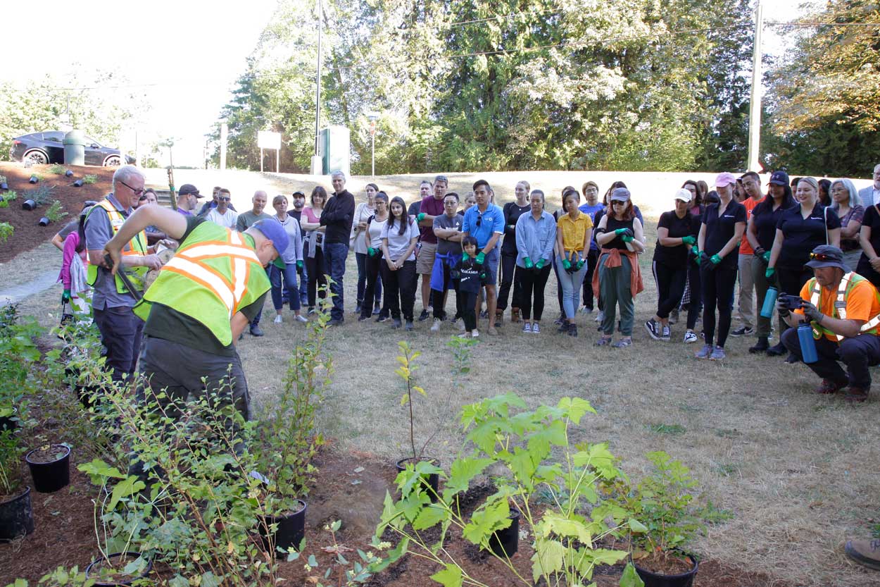 志愿者们正在观看植树示范。yabo真人app亚博游戏登录首页APP