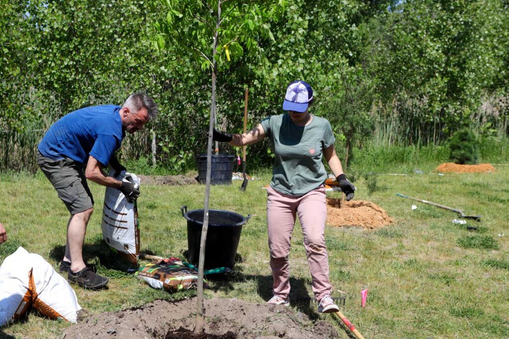 志愿者在一棵新栽的树周围加土亚博游戏登录首页APP